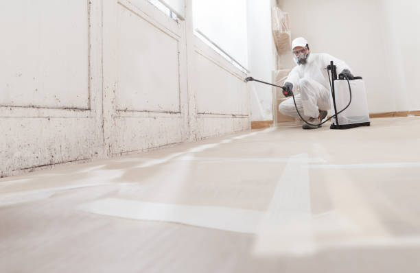 24/7 Emergency Bathroom Mold Removal experts in Trenton, TN