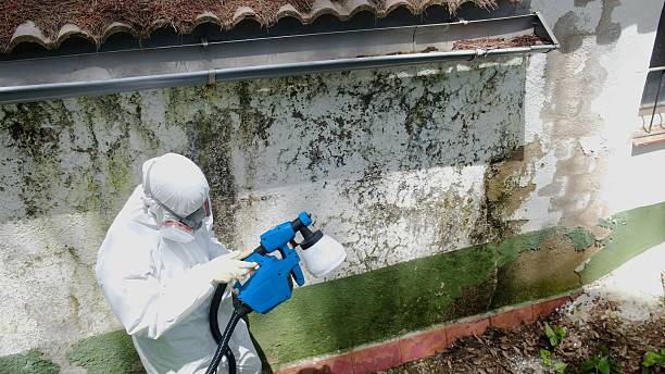 Top rated local Bathroom Mold Removal specialists in Trenton, TN